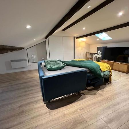 Kiss Cool - Loft En Centre Ville แซ็ง-ดิซีเย ภายนอก รูปภาพ